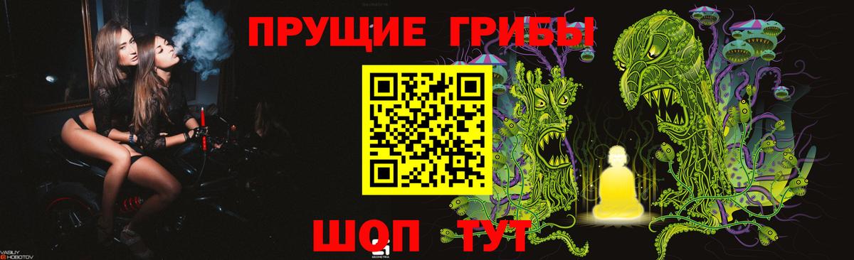 Псилоцибиновые грибы мицелий Россия